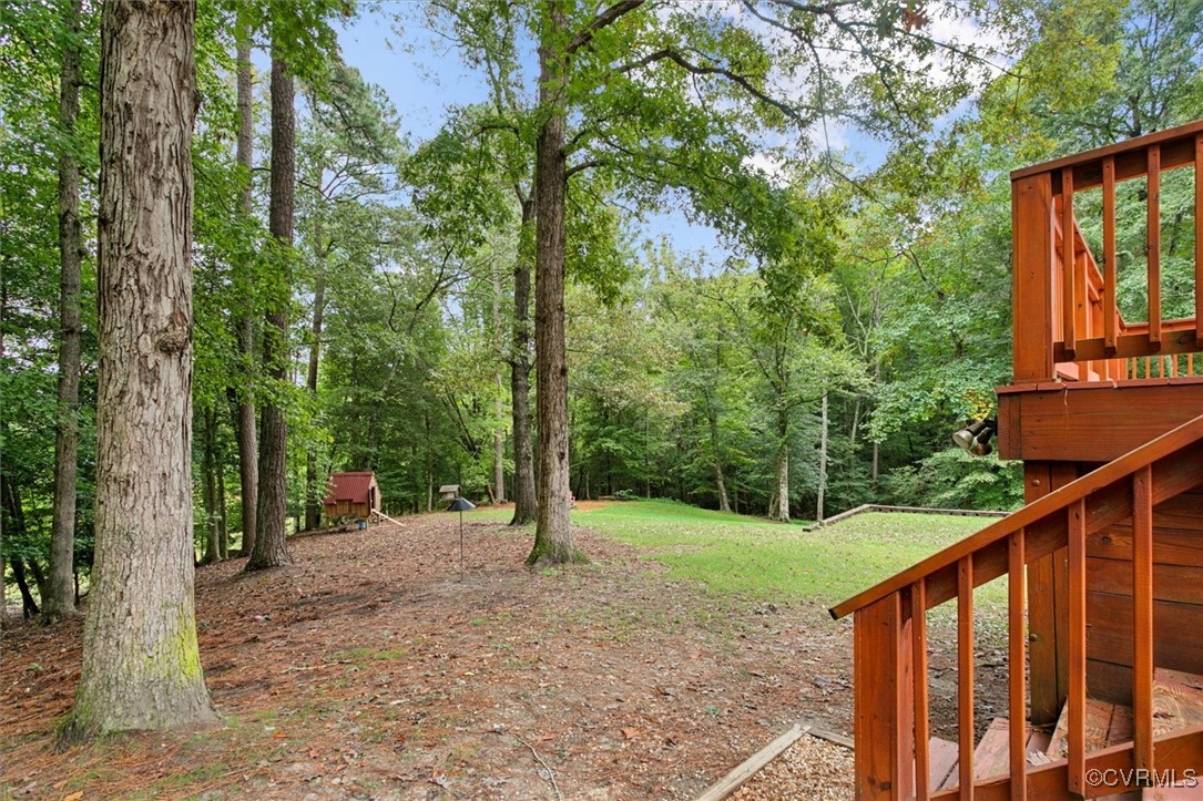 2102 Jolly Pond Road Williamsburg, VA 23188 - Photo 3 of 3 a view of a forest with trees