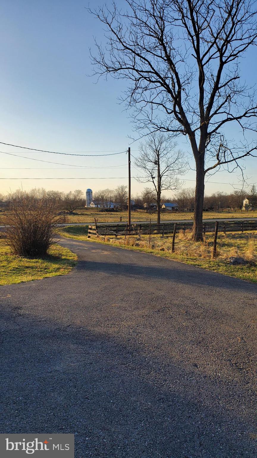 1700 Kimble Road Berryville, VA 22611 - Photo 35 of 74 VIEW FROM DRIVEWAY
