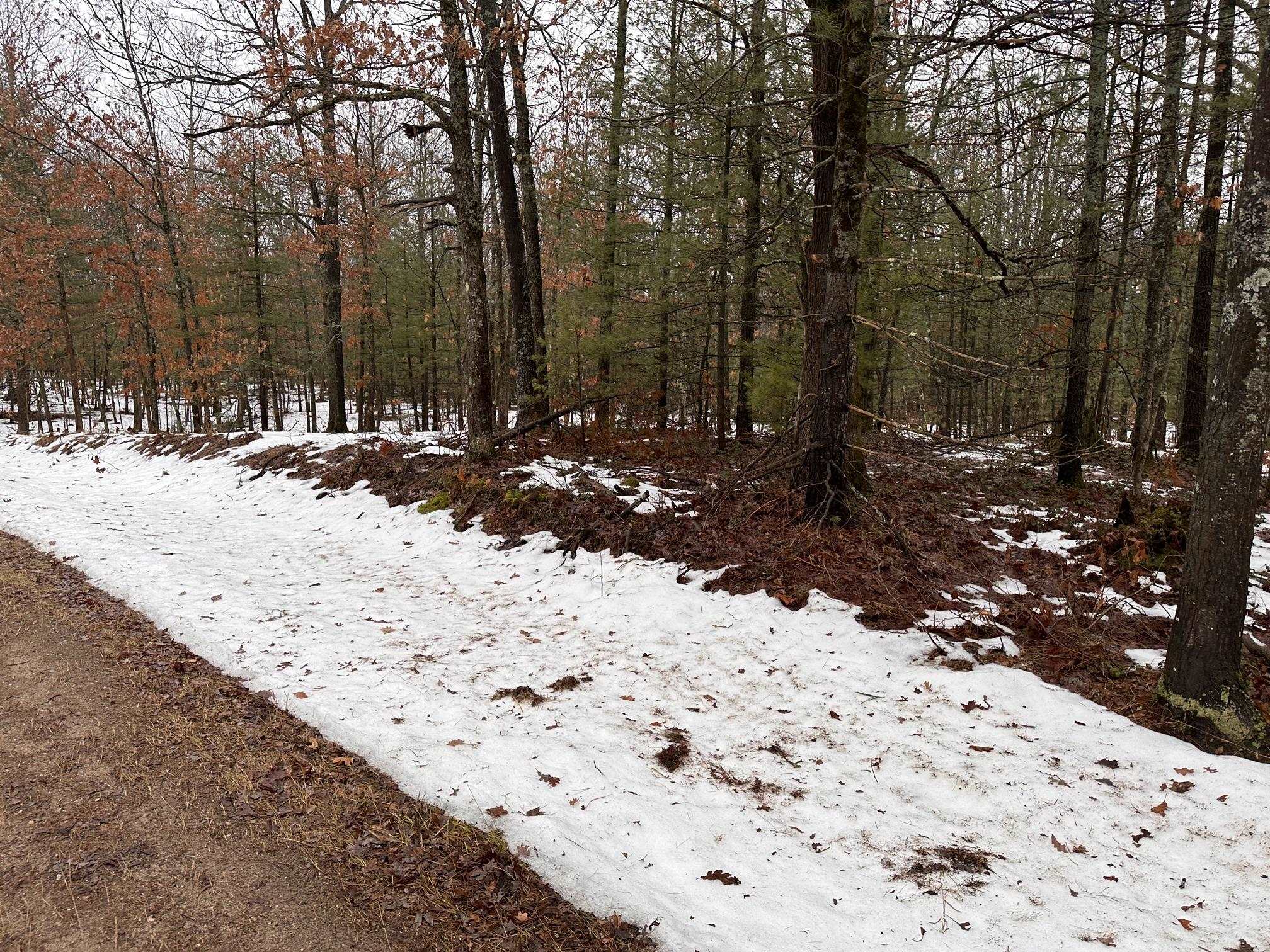 B Albrecht Road Interlochen, MI 49643 - Photo 6 of 6