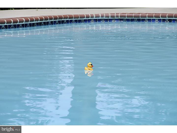 1773 Windsor Road Blue Bell, PA 19422 - Photo 24 of 25 Pool