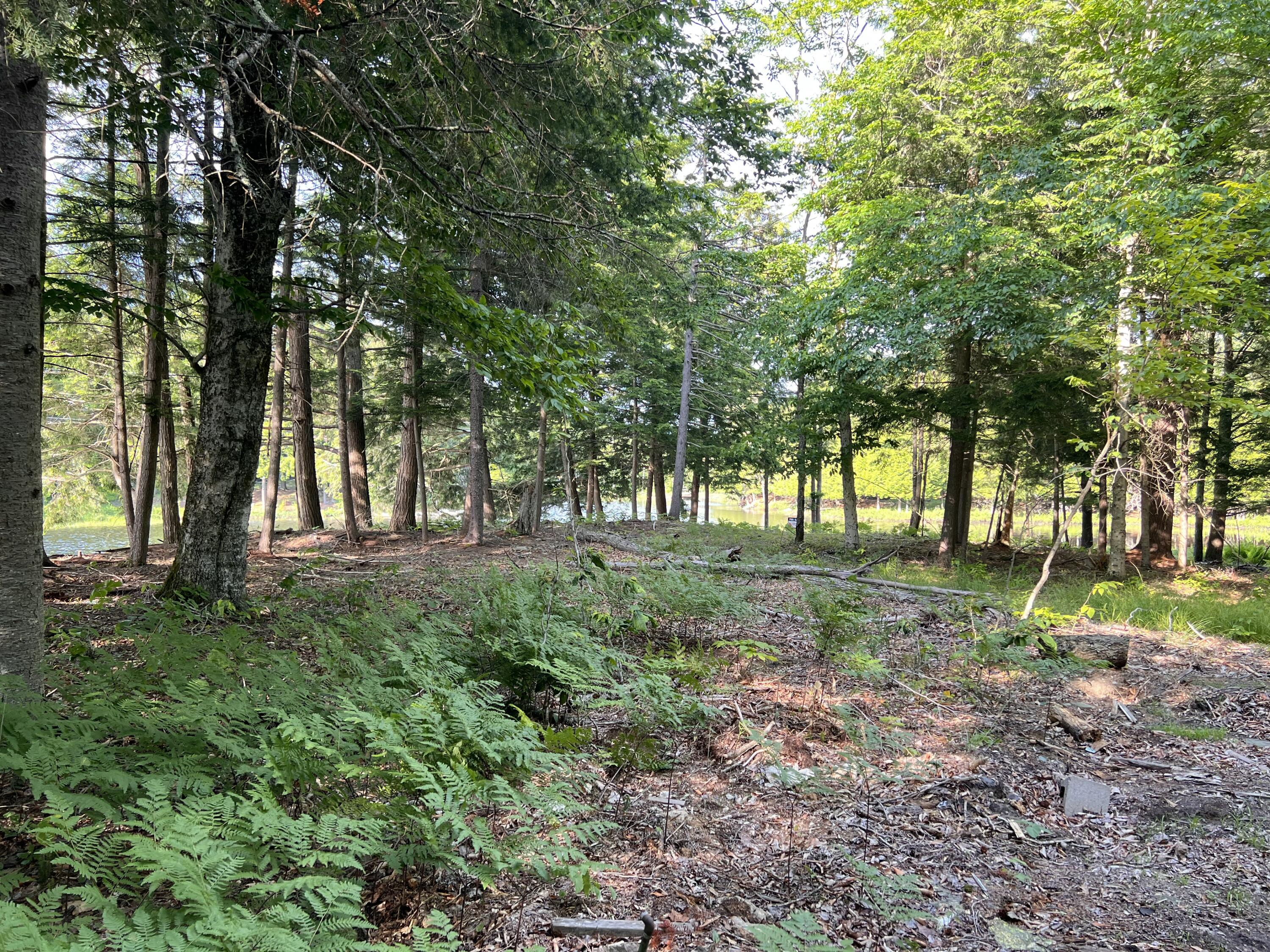 0 Beecher Park Road Long Lake, NY 12847 - Photo 20 of 20 Gallery Image 20