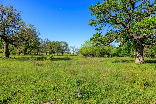 a view of a golf course with a tree
