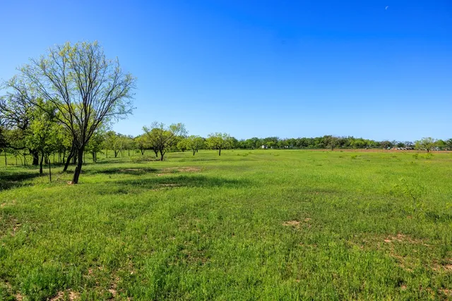 a view of a grassy field with trees
