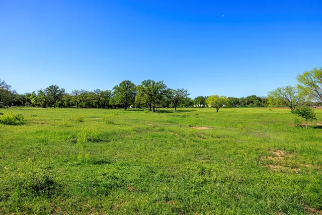 a view of a grassy field with trees