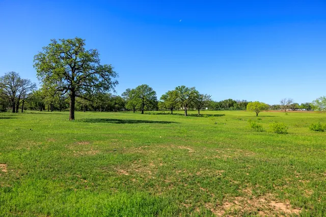 a view of a grassy field with trees