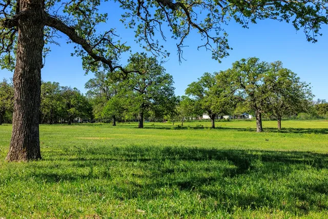 a view of grassy area with a yard