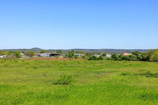 a grassy field with a trees