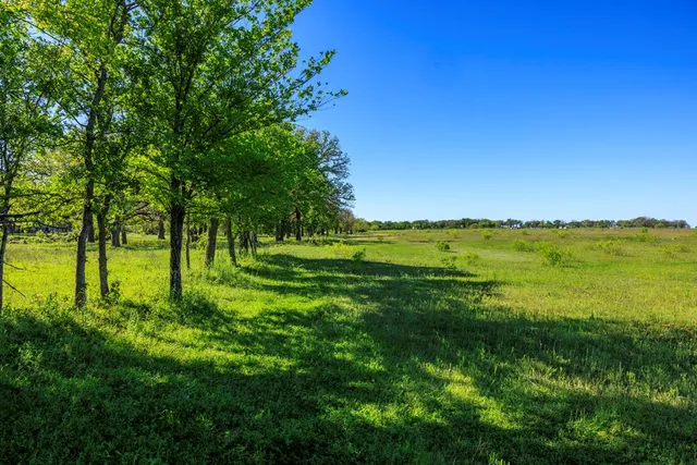 a view of an ocean from a yard