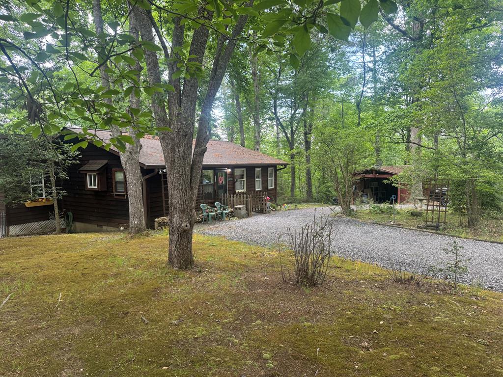Main View
