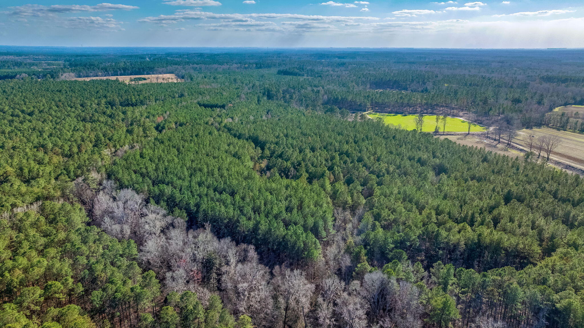0 Lowcountry Highway Ruffin, SC 29475 - Photo 12 of 15 12