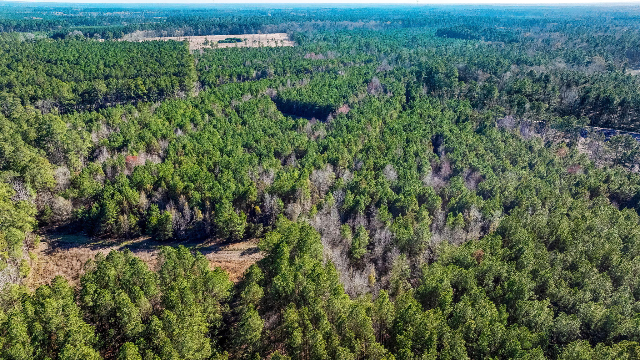 0 Lowcountry Highway Ruffin, SC 29475 - Photo 13 of 15 13