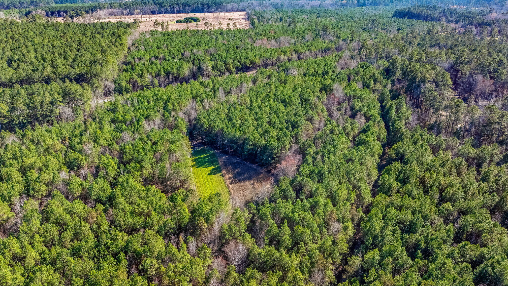 0 Lowcountry Highway Ruffin, SC 29475 - Photo 14 of 15 14