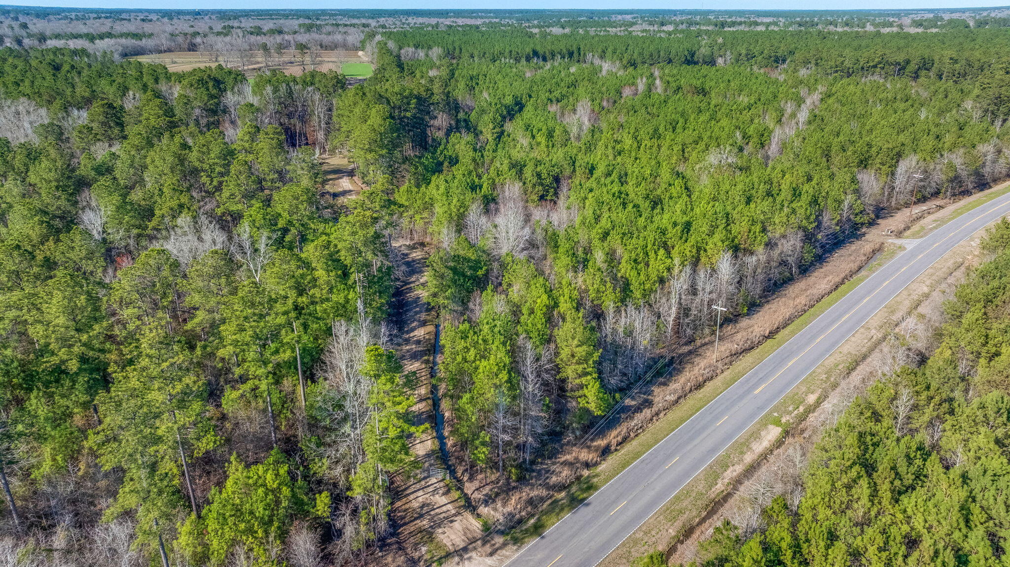 0 Lowcountry Highway Ruffin, SC 29475 - Photo 15 of 15 15