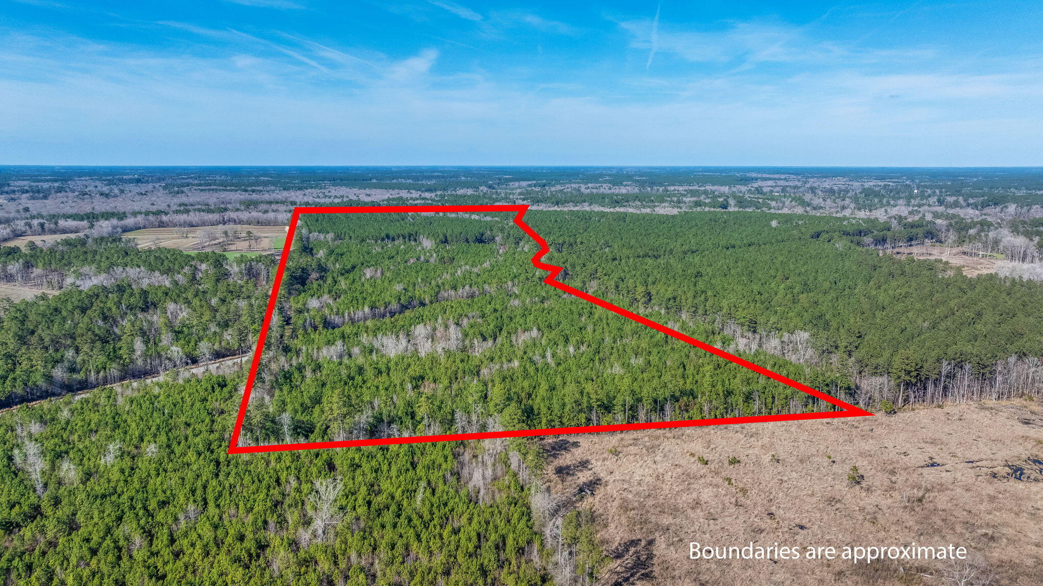 0 Lowcountry Highway Ruffin, SC 29475 - Photo 2 of 15 2