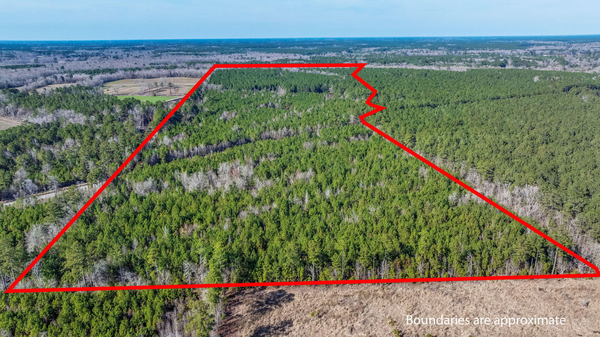 0 Lowcountry Highway Ruffin, SC 29475 - Photo 3 of 15 3