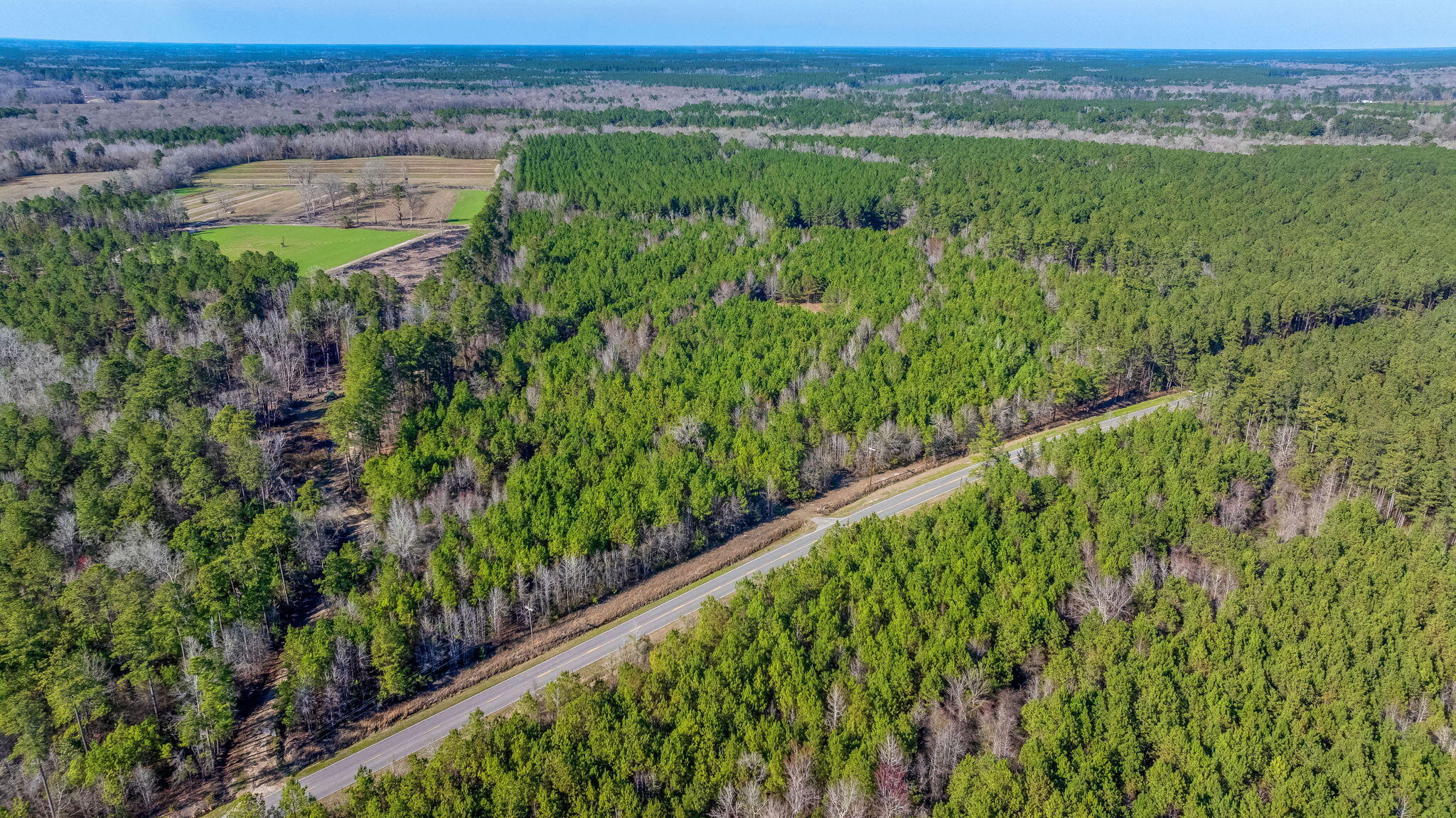 0 Lowcountry Highway Ruffin, SC 29475 - Photo 4 of 15 4