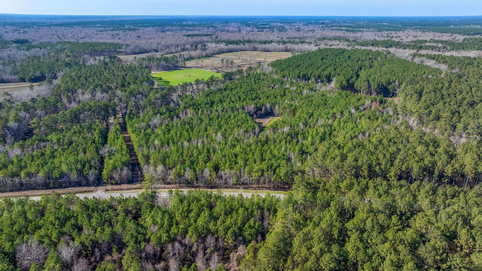 0 Lowcountry Highway Ruffin, SC 29475 - Photo 5 of 15 5