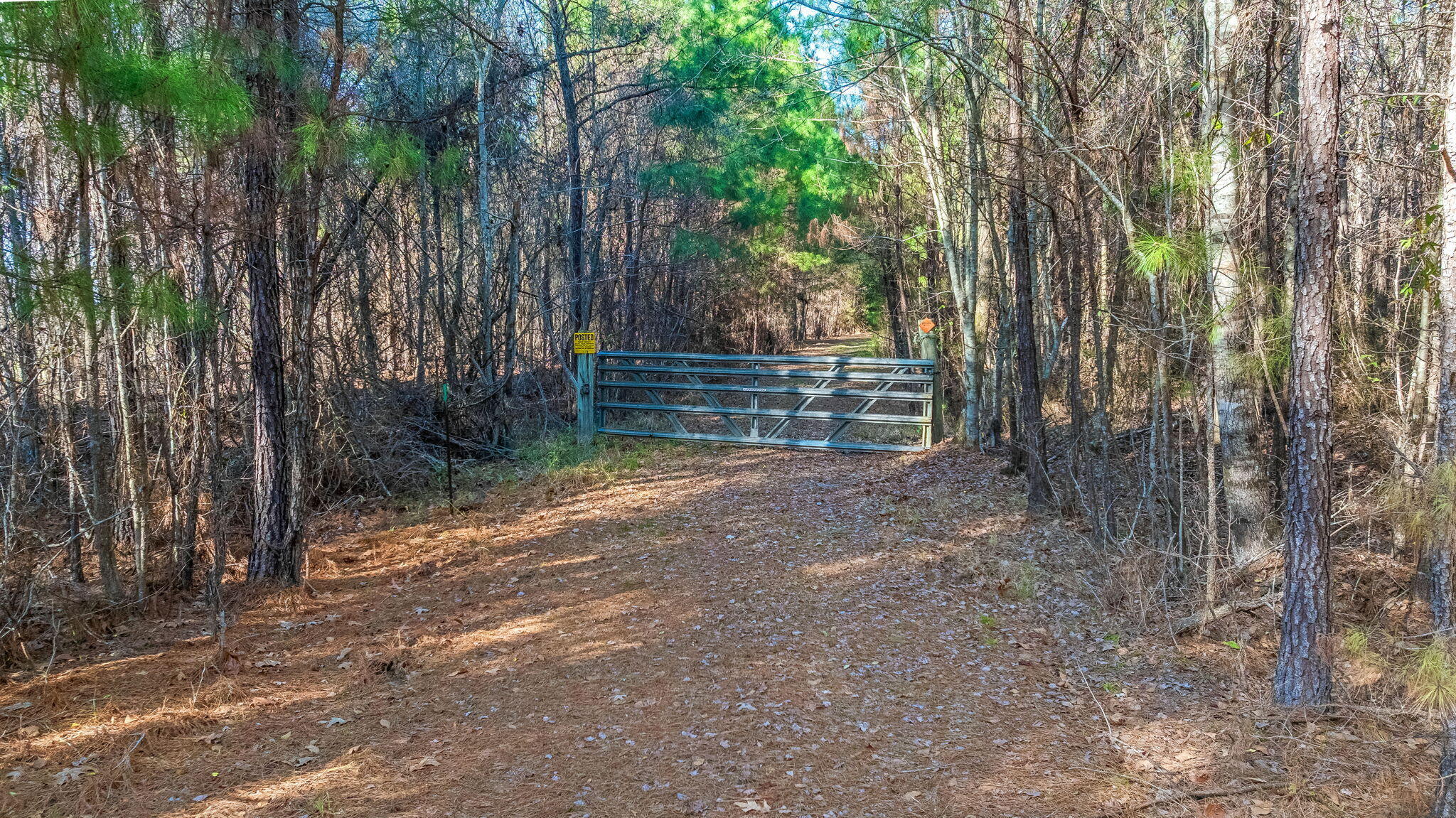0 Lowcountry Highway Ruffin, SC 29475 - Photo 7 of 15 7