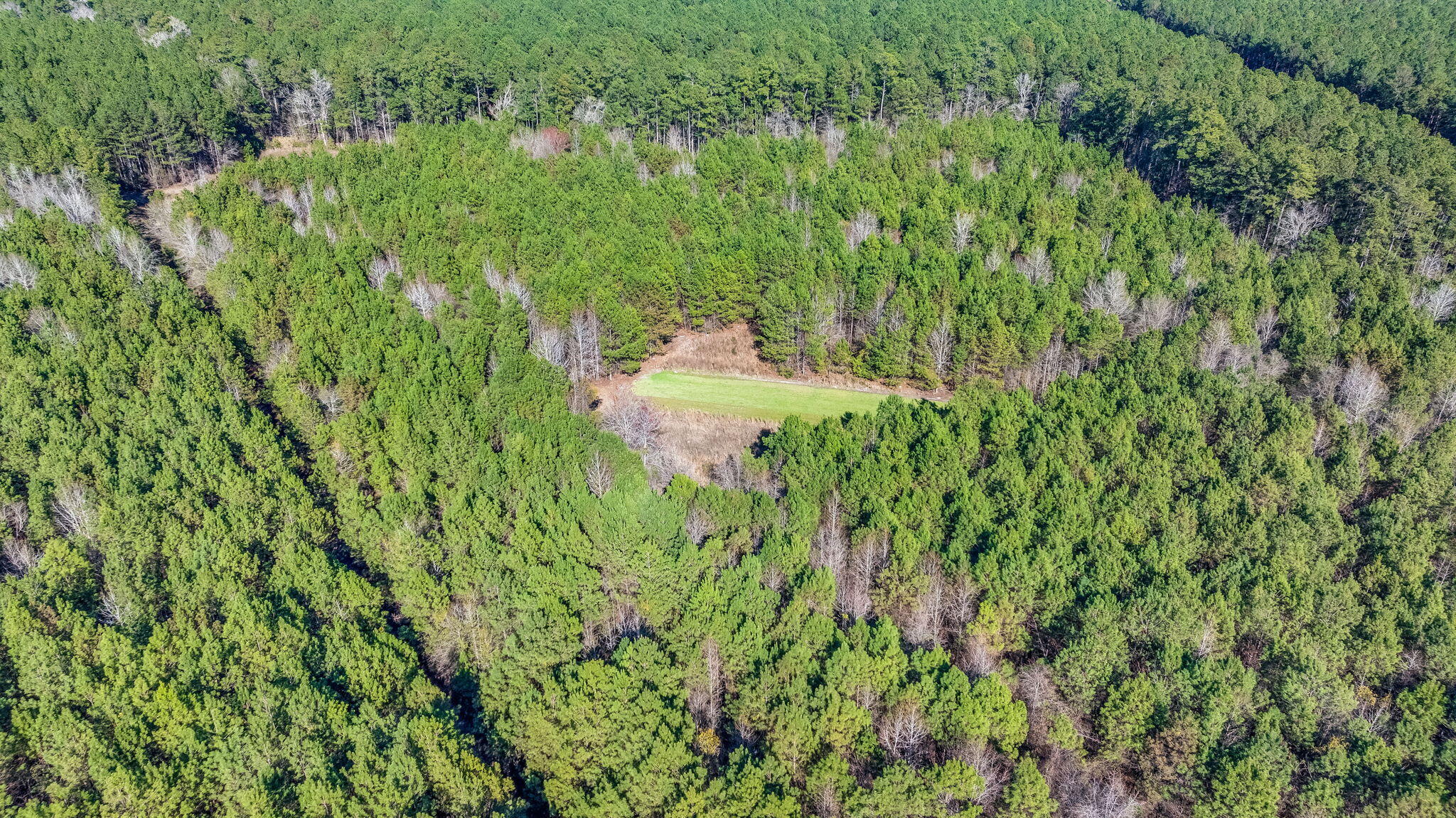 0 Lowcountry Highway Ruffin, SC 29475 - Photo 8 of 15 8