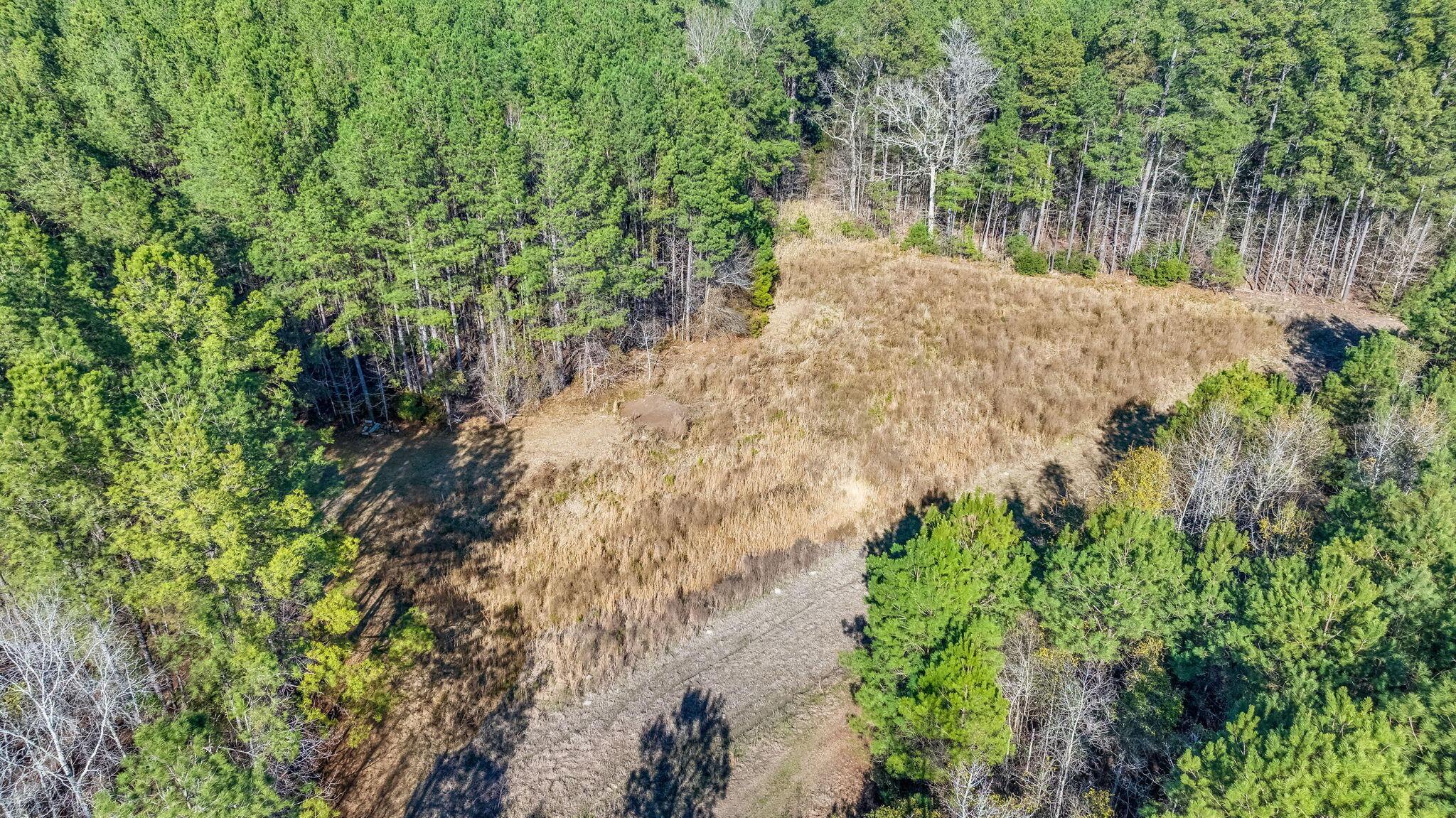 0 Lowcountry Highway Ruffin, SC 29475 - Photo 10 of 15 10