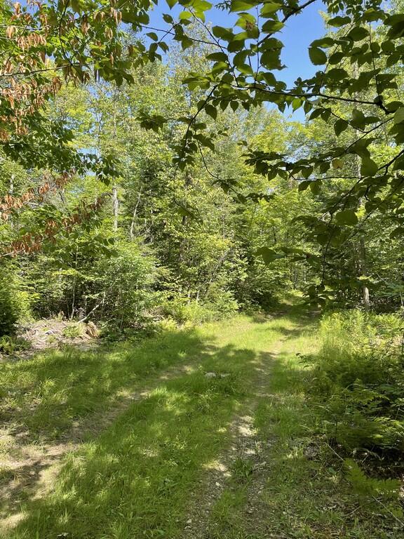 0 Harvey Stream Levant, ME 04456 - Photo 20 of 55 Pic 18 (Copy)
