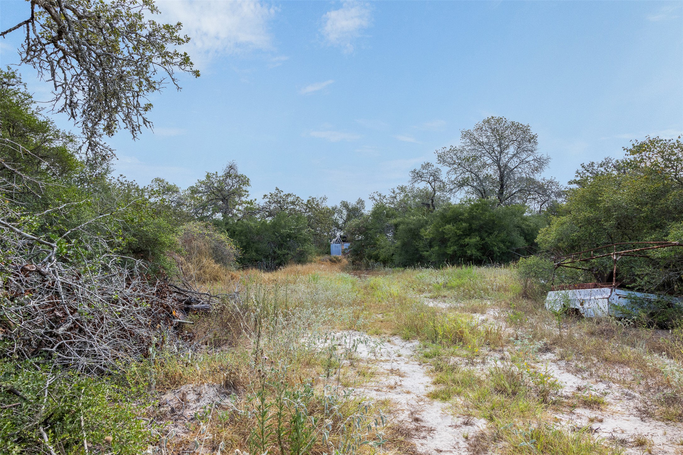 3301 Chuckwagon Road Harwood, TX 78632 - Photo 5 of 36 Mature trees surround this expansive acreage under a clear open sky.