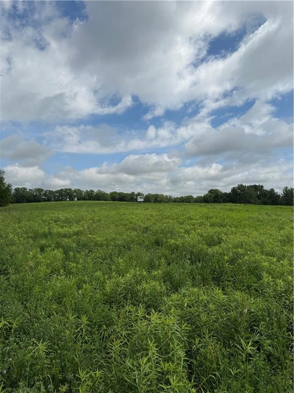 Jump Road Jamesport, MO 64648 - Photo 25 of 33