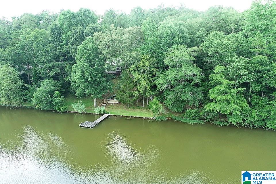 143 County Road 2010 Delta, AL 36258 - Photo 24 of 32