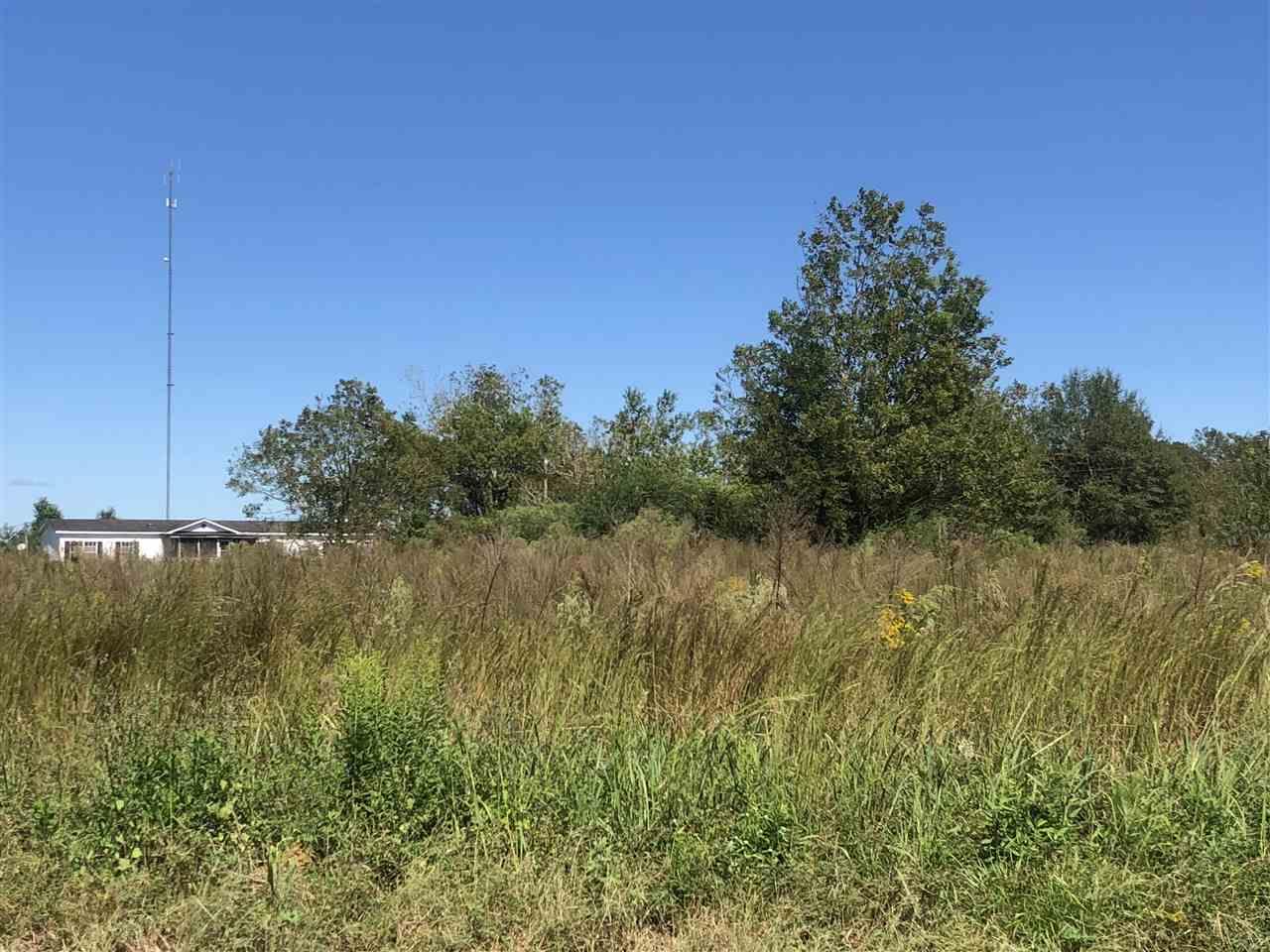 10 Jack Springs Road Atmore, AL 36502 - Photo 18 of 26 a view of a lake from a yard