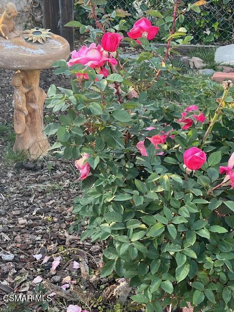 2675 Lembert Street Simi Valley, CA 93065 - Photo 27 of 30 a view of a house with a tree