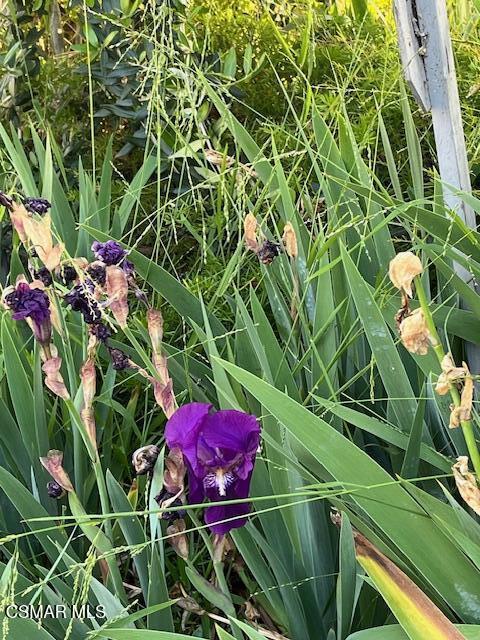 2675 Lembert Street Simi Valley, CA 93065 - Photo 28 of 30 a view of a backyard