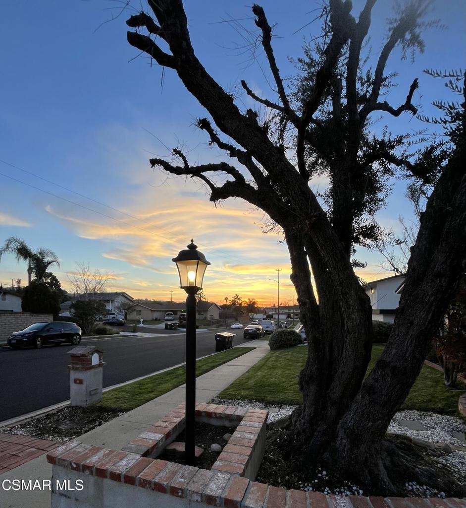 2675 Lembert Street Simi Valley, CA 93065 - Photo 30 of 30 a view of a park with large tree