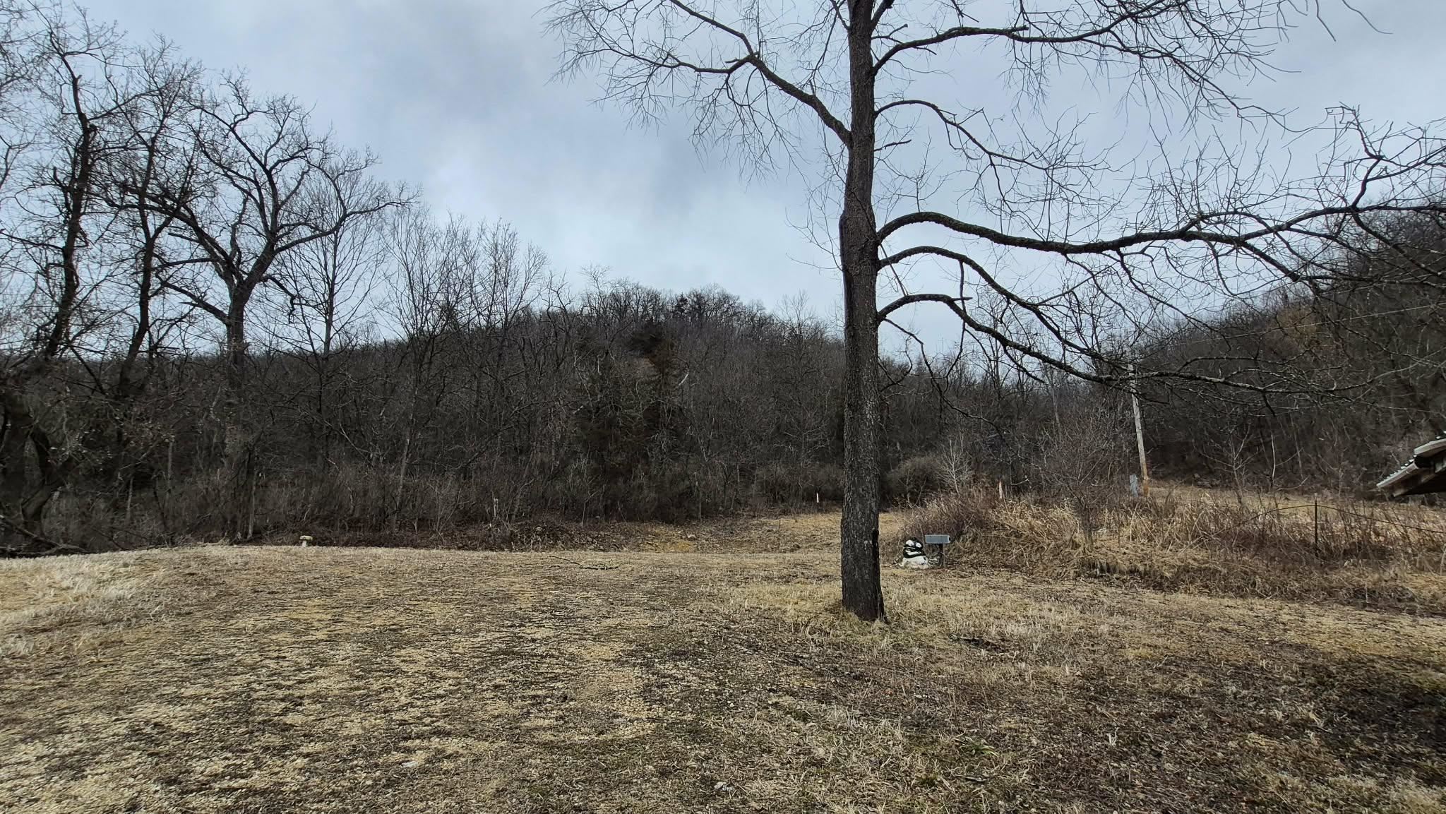 S7392 Highway 14 Readstown, WI 54652 - Photo 11 of 13