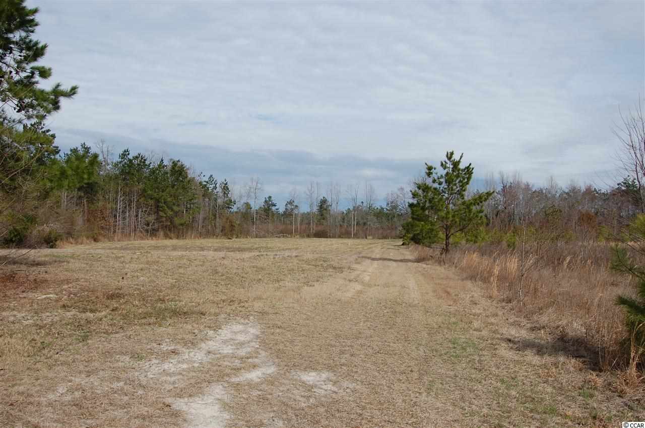 1262 Pisgah Church Road Aynor, SC 29511 - Photo 1 of 5 Gallery Image 1