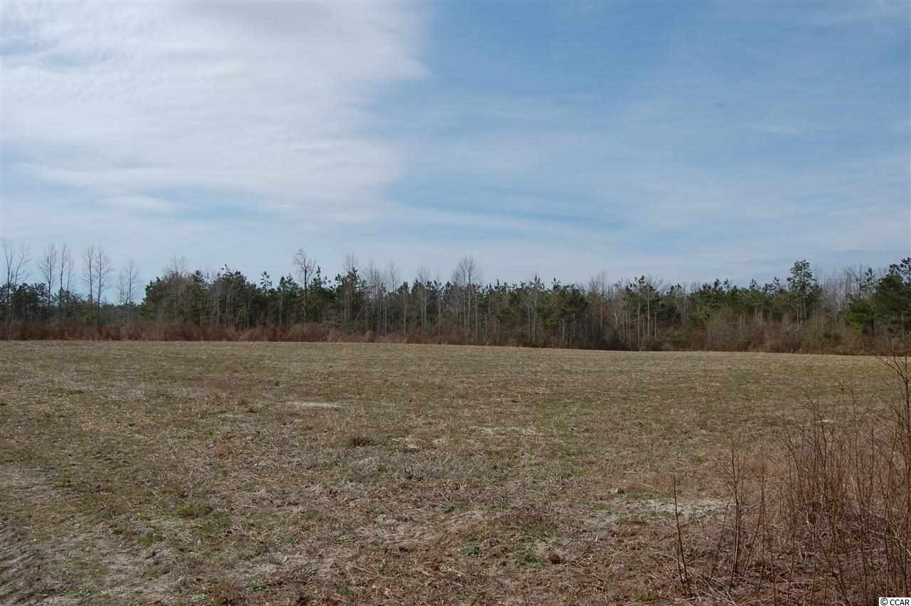 1262 Pisgah Church Road Aynor, SC 29511 - Photo 2 of 5 Gallery Image 2