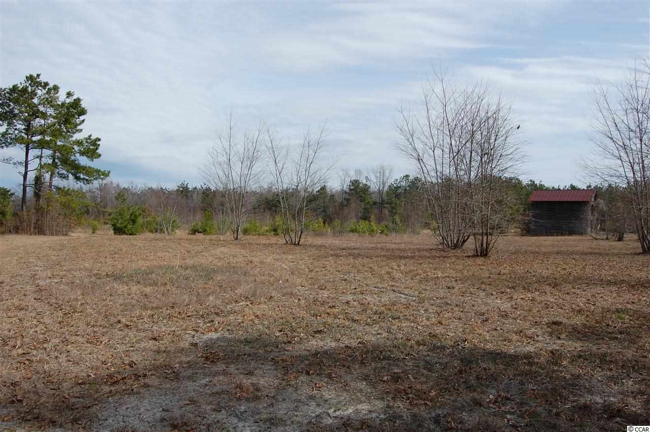 1262 Pisgah Church Road Aynor, SC 29511 - Photo 3 of 5 Gallery Image 3