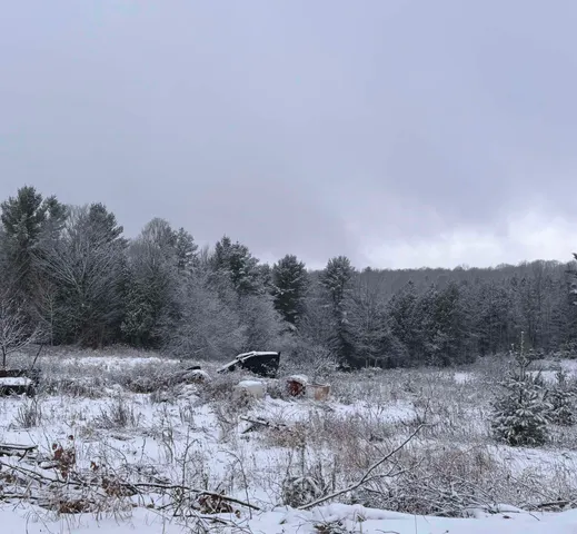 $63,900 | 0 Hinman Settler Road, Brownington, VT 05860