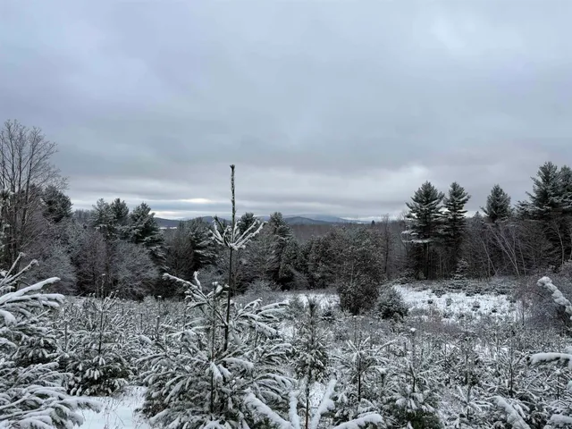 $63,900 | 0 Hinman Settler Road, Brownington, VT 05860