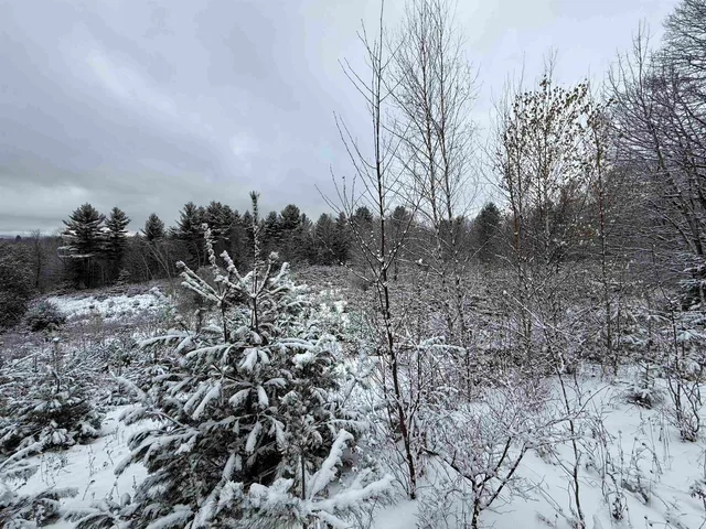 $63,900 | 0 Hinman Settler Road, Brownington, VT 05860