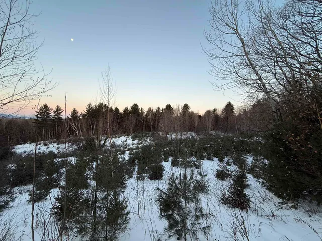 $63,900 | 0 Hinman Settler Road, Brownington, VT 05860