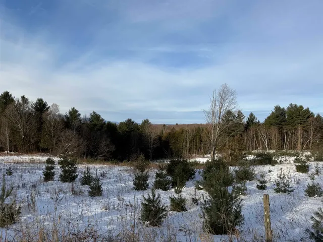$63,900 | 0 Hinman Settler Road, Brownington, VT 05860