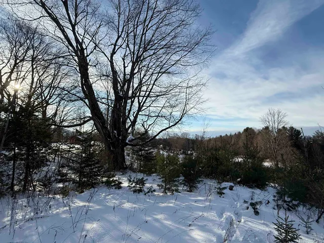 $63,900 | 0 Hinman Settler Road, Brownington, VT 05860