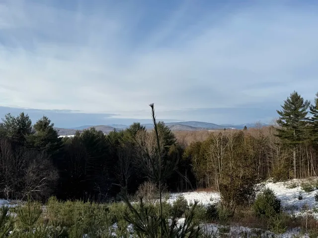 $63,900 | 0 Hinman Settler Road, Brownington, VT 05860