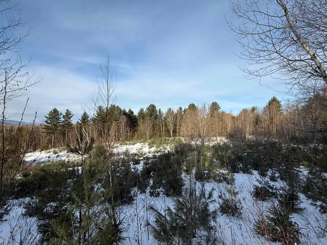 $63,900 | 0 Hinman Settler Road, Brownington, VT 05860
