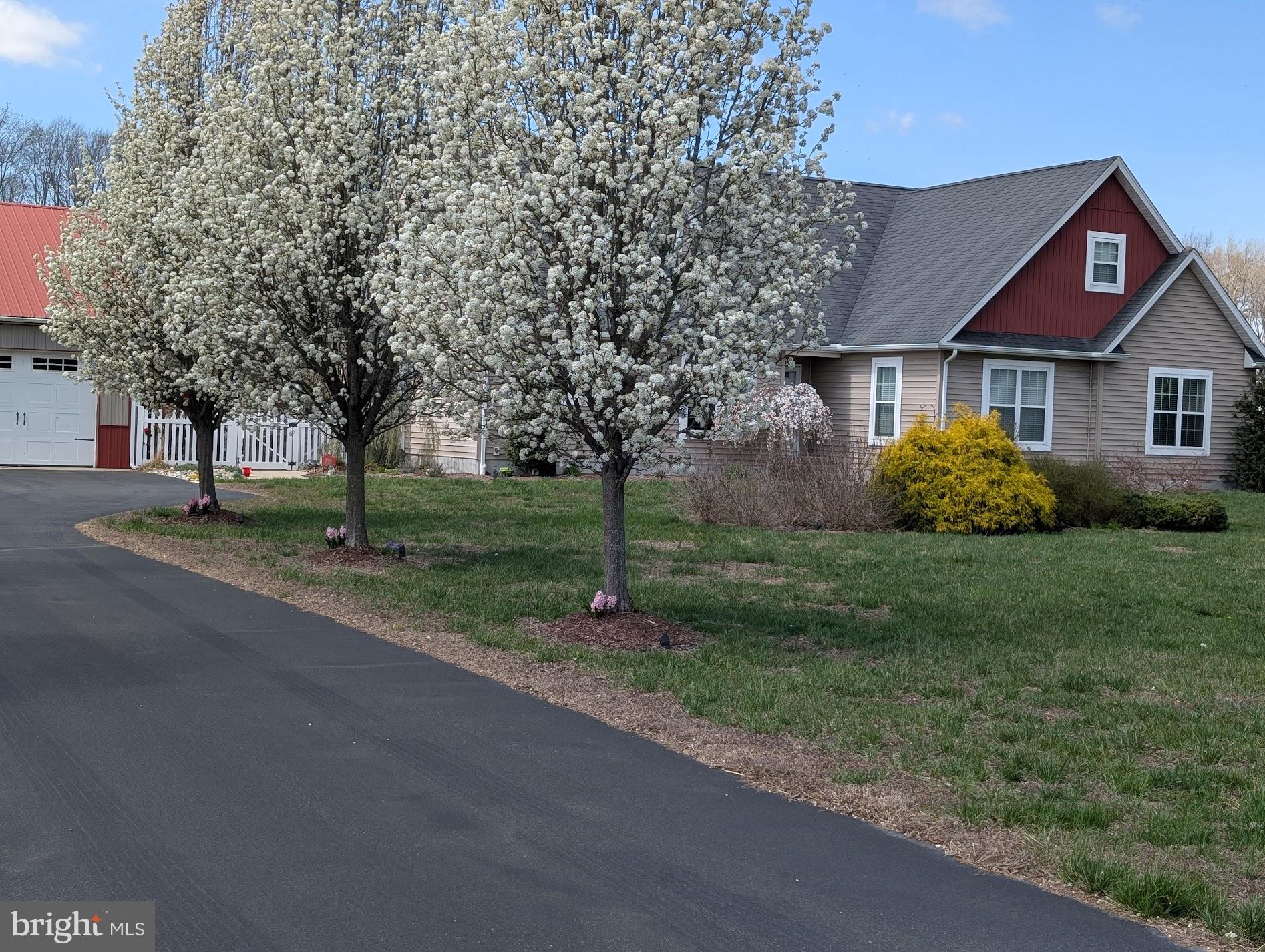 20346 Cool Spring Road Milton, DE 19968 - Photo 68 of 69