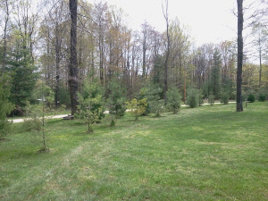 225 Pinewood Lane Springville, IN 47462 - Photo 3 of 26 Gallery Image 3