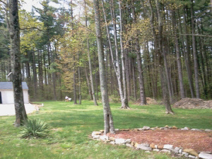225 Pinewood Lane Springville, IN 47462 - Photo 4 of 26 Gallery Image 4