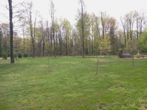 225 Pinewood Lane Springville, IN 47462 - Photo 5 of 26 Gallery Image 5