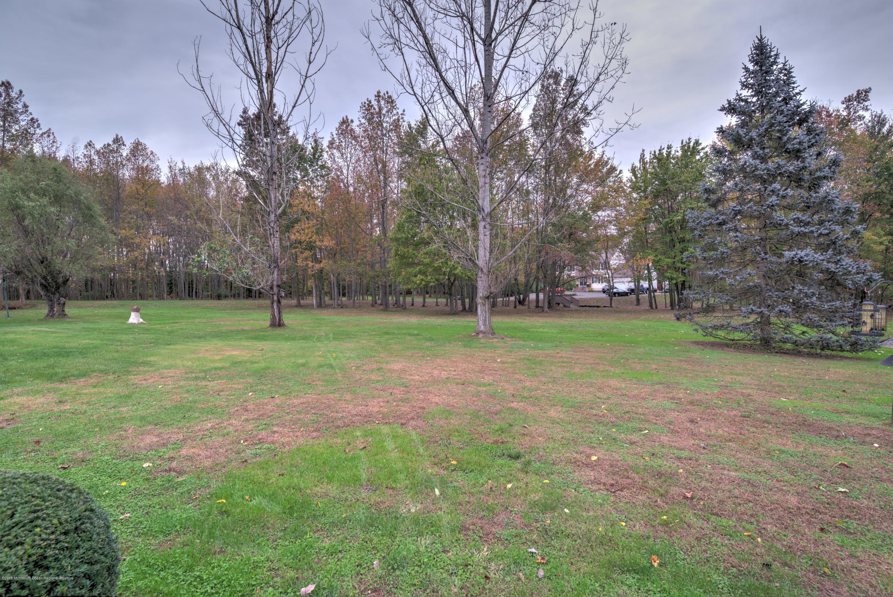 74 Daum Road Manalapan, NJ 07726 - Photo 15 of 16 025_BACK YARD