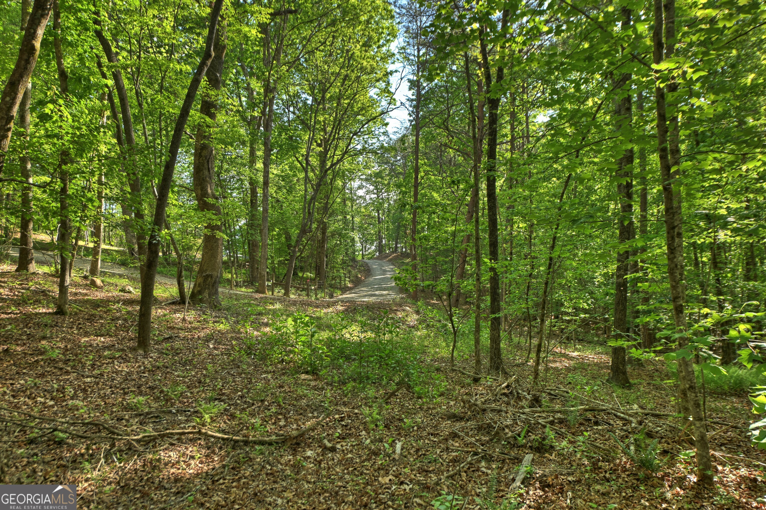 8-ac Mcnelley Road Morganton, GA 30560 - Photo 44 of 47